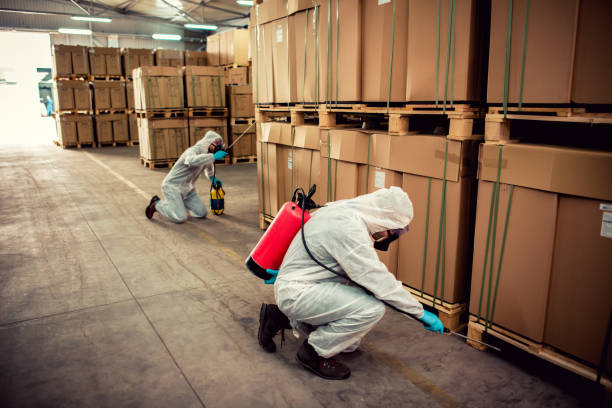 Best Pest Prevention Services  in Manhattan, MT