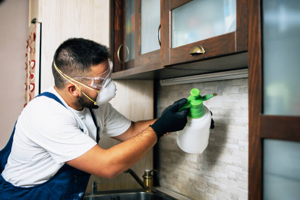 Best Pest Control Near Me in Manhattan, MT