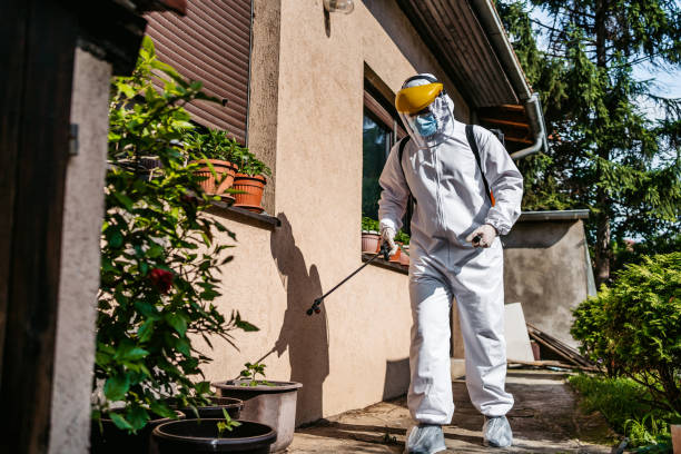 Best Emergency Pest Control  in Manhattan, MT
