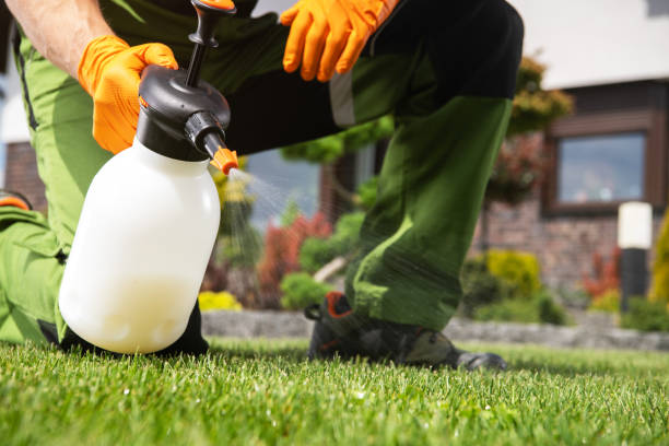 Best Mosquito Control Services  in Manhattan, MT