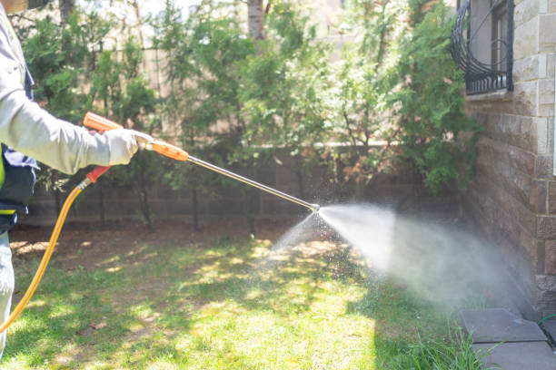 Best Bed Bug Extermination  in Manhattan, MT